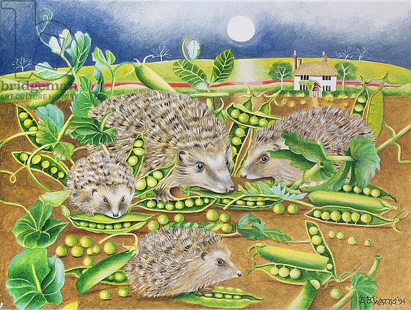 Hedgehogs with Peas beside a Poppy field at night, 1994