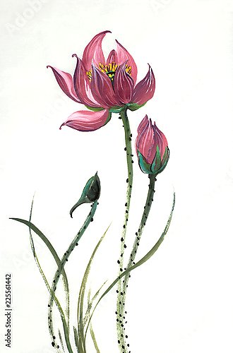 Китайский цветок лотоса 2