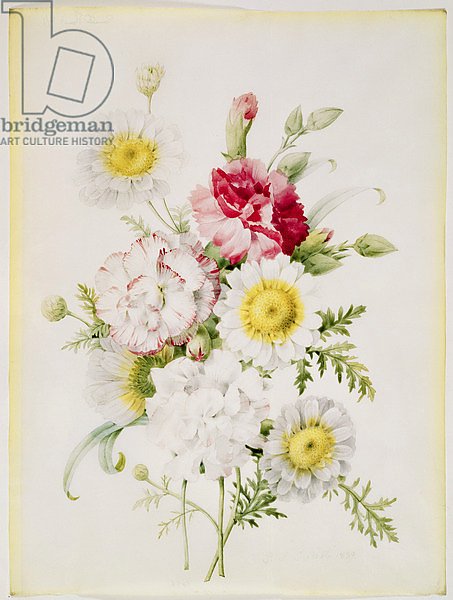 Bunch of Mixed Carnations and White Marigolds, 1839