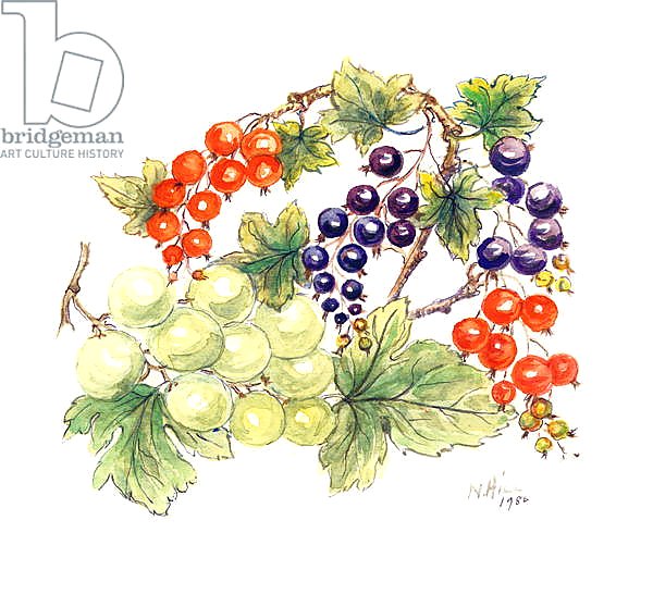 Black and Red Currants with Green Grapes, 1986