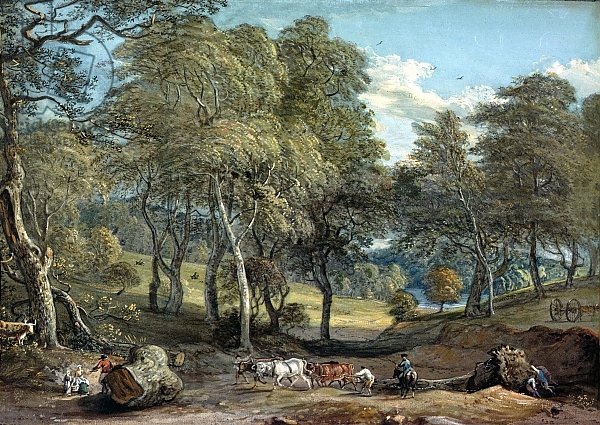 Windsor Forest with Oxen Drawing Timber, 1798