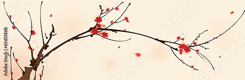 Ветка сакуры в цвету