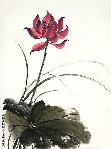 Китайский цветок лотоса 1