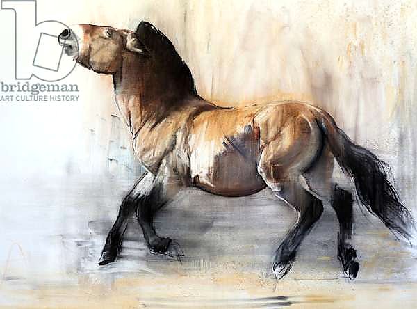 Ancient Horse, 2014,