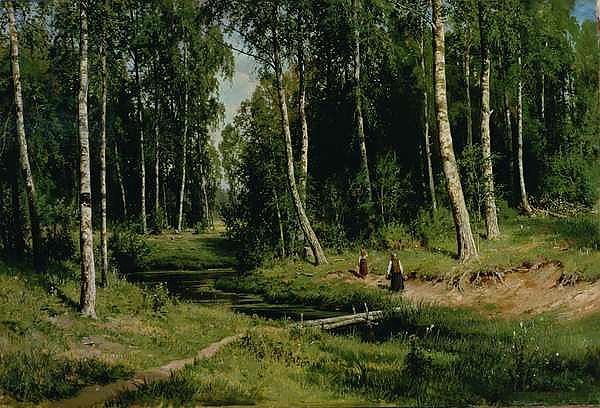 In The Birch Tree Forest, 1883