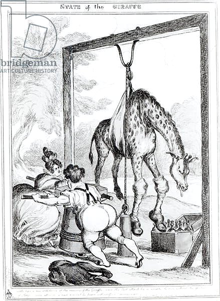 State of the Giraffe, 1829