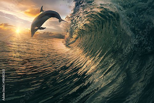 Дельфин над волной