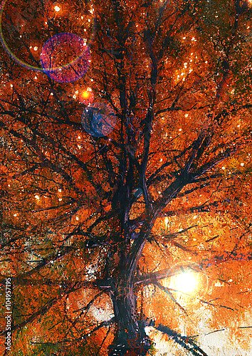 Осеннее дерево с красными листьями в лучах солнца