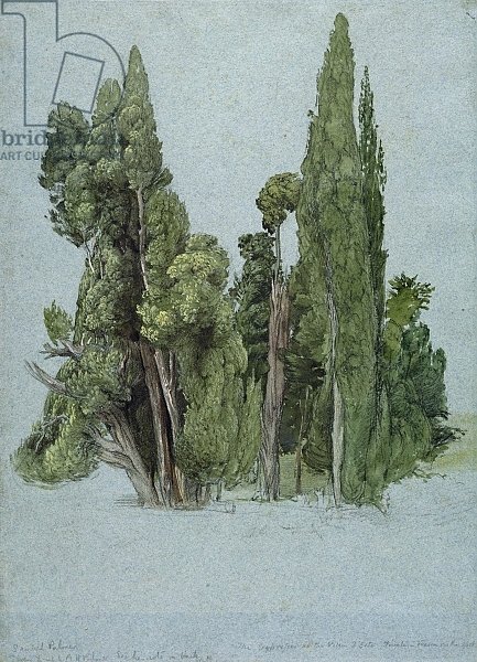 The Cypresses at the Villa d'Este, Tivoli