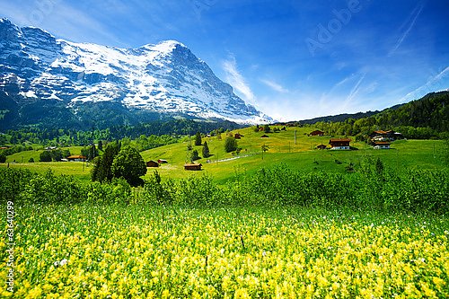 Швейцария. Весенний горный пейзаж в Альпах