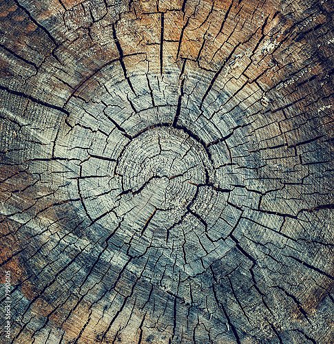 Старая древесина