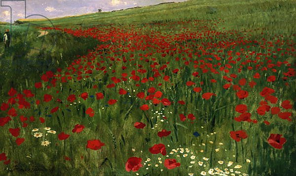 The Poppy Field, 1896