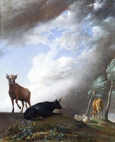 Скот и овцы в шторм