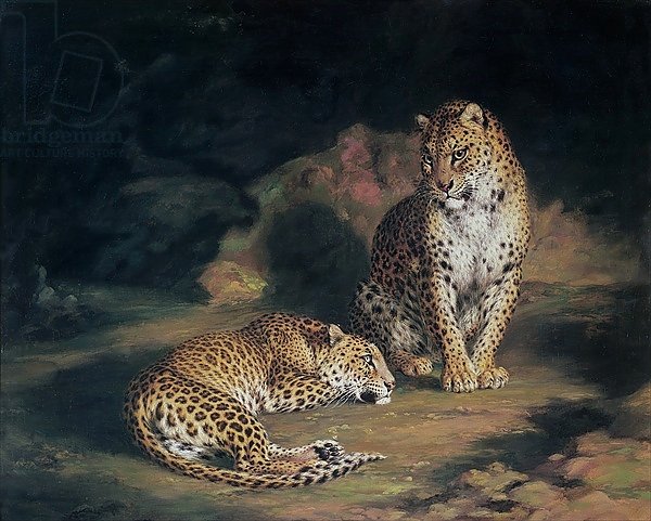 A Pair of Leopards, 1845