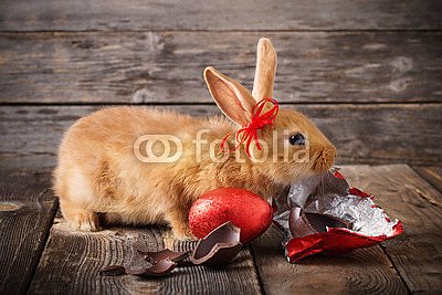 Кролик с красными шоколадными яйцами
