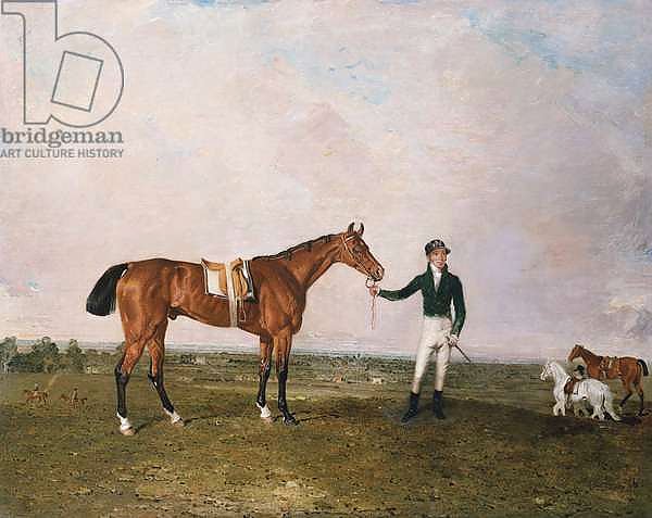 'Zinganee' held by Sam Chifney Jr. at Newmarket, 1829