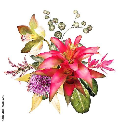 Тропические акварельные цветы