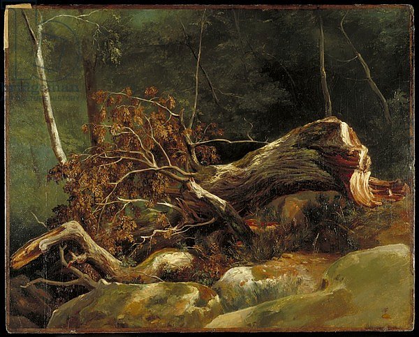 The Fallen Branch, Fontainebleau, c.1816