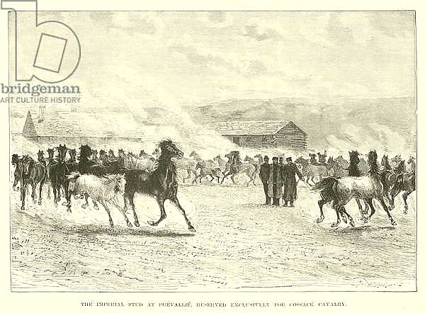 The imperial stud at Prevallie, reserved exclusively for Cossack cavalry
