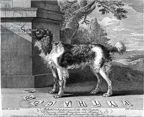 The New Chien Savant, or Learned Dog, print made by F-Morellon la Cave, 1752