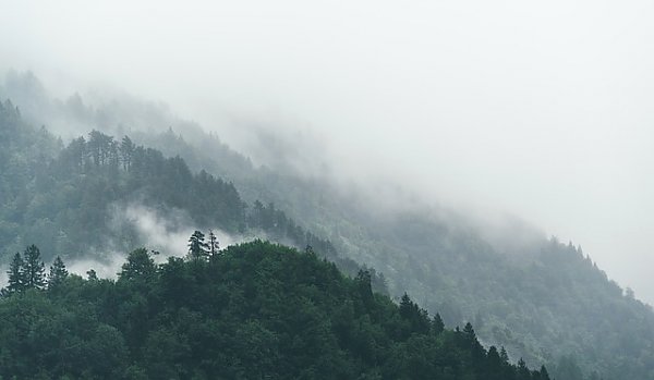 Постер Туманные леса на склонах холмов