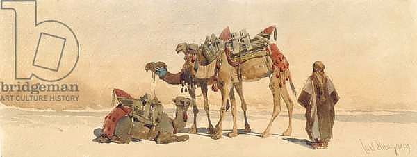 Resting with Three Camels in the Desert, 1859