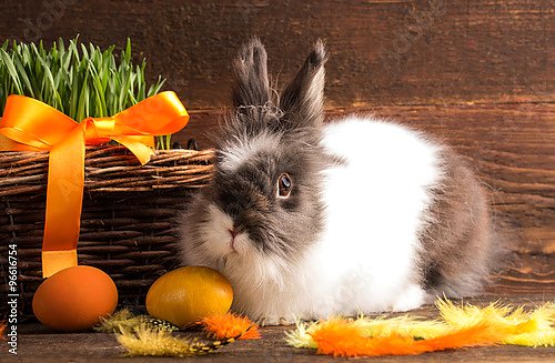 Кролик и оранжевые яйца