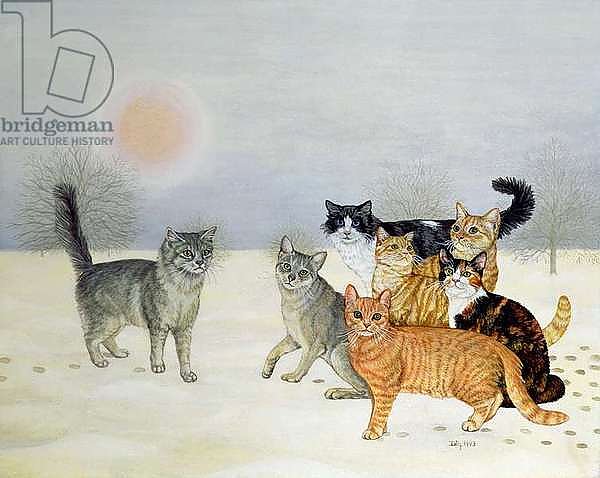 Winter-Cats