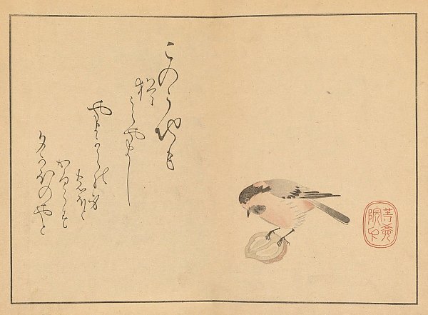 Sakai Hōitsu gajō, Pl.17