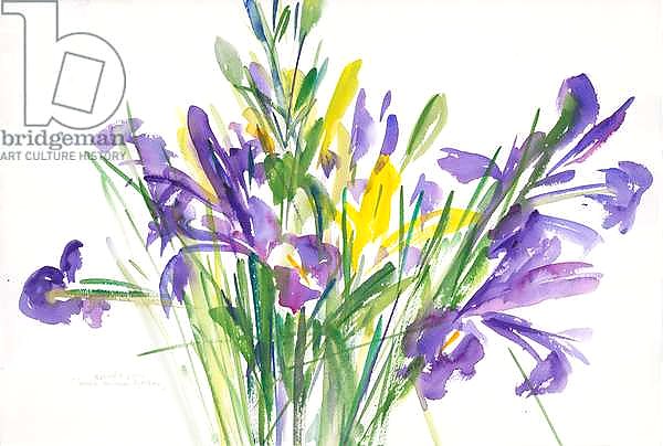 Irises, 1999,
