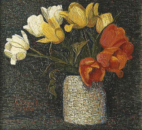 Tulip; Tulpen, 1908