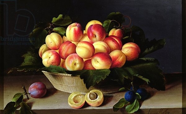Basket of Apricots, 1634