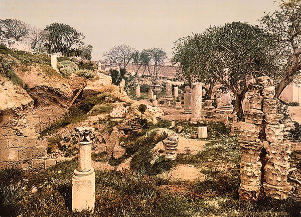Тунис. Карфаген, сад в музее