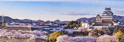 Япония, замок Химэдзи в сезон цветения сакуры