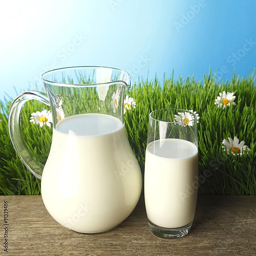 Стакан и графин молока на цветочном лугу