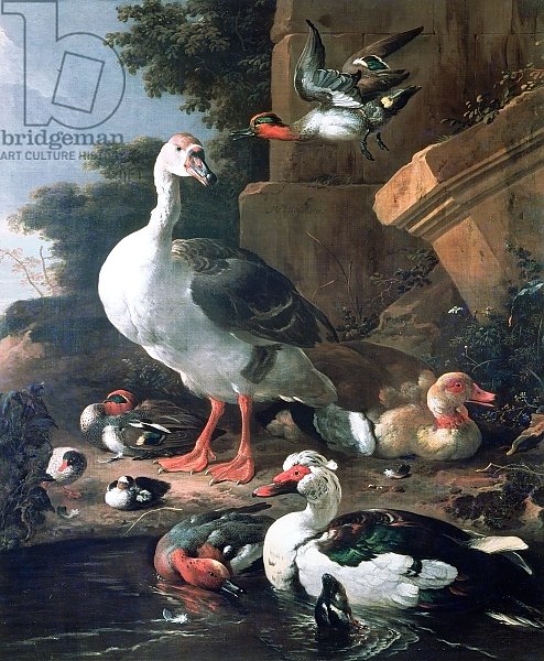Waterfowl in a classical landscape, 17th century