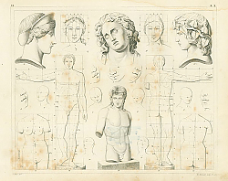 Постер Iconographic Encyclopedia: пропорции тела и лица человека 1