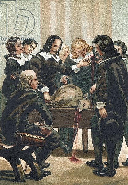 William Harvey demonstrating the circulation of the blood