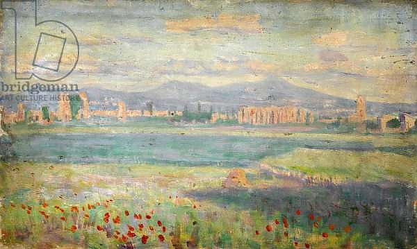 Mediterranean landscape with poppies in foreground and walled town in background