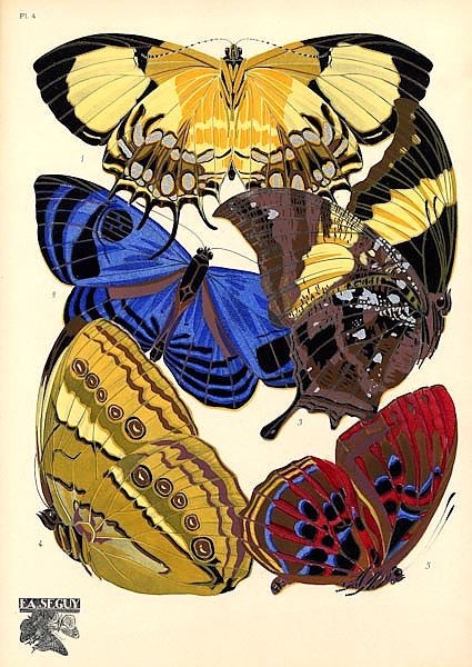 Papillons by E. A. Seguy №15