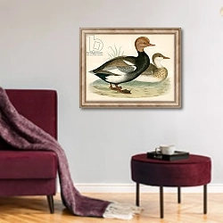 «Red Crested Whistling Duck» в интерьере гостиной в бордовых тонах