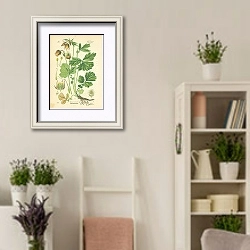 «Rosaceae, Potentilleae, Geum rivale» в интерьере комнаты в стиле прованс с цветами лаванды