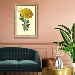 «Chrysanthemum» в интерьере классической гостиной над диваном