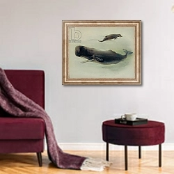 «Physeter catodon and Hyperoodon ampullatus, Sperm whale and northern bottlenose whale, Plate 45 from British Mammals Vol. 1 & 2 by Archibald Thorburn, 1920-21» в интерьере гостиной в бордовых тонах