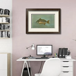 «The Kingfish, Whiting, or Barb, Mentichirrhus nebulosus.» в интерьере светлого кабинета над белым столом