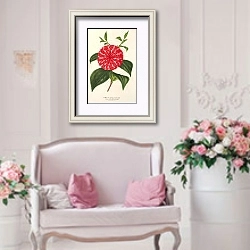 «Camellia Stella polare» в интерьере гостиной в стиле прованс над диваном