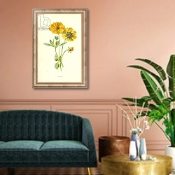 «Coreopsis» в интерьере классической гостиной над диваном