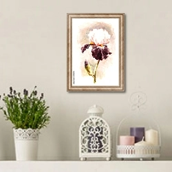 «Вишнево-белый цветок ириса» в интерьере в стиле прованс с лавандой и свечами