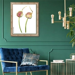 «Стрелка чеснока со зрелыми семенами» в интерьере в классическом стиле с зеленой стеной