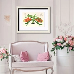 «Saccolabium curvifolium» в интерьере гостиной в стиле прованс над диваном
